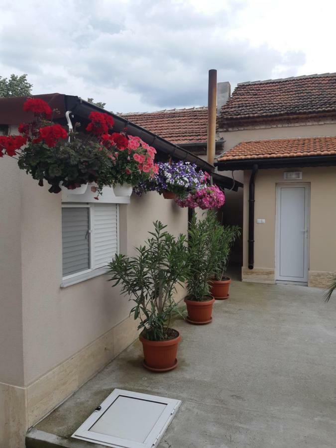 Villa Ros Guest House Svilengrad Exteriör bild