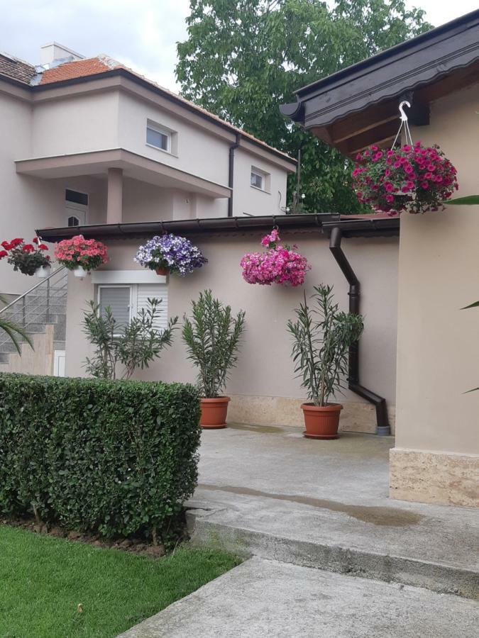 Villa Ros Guest House Svilengrad Exteriör bild