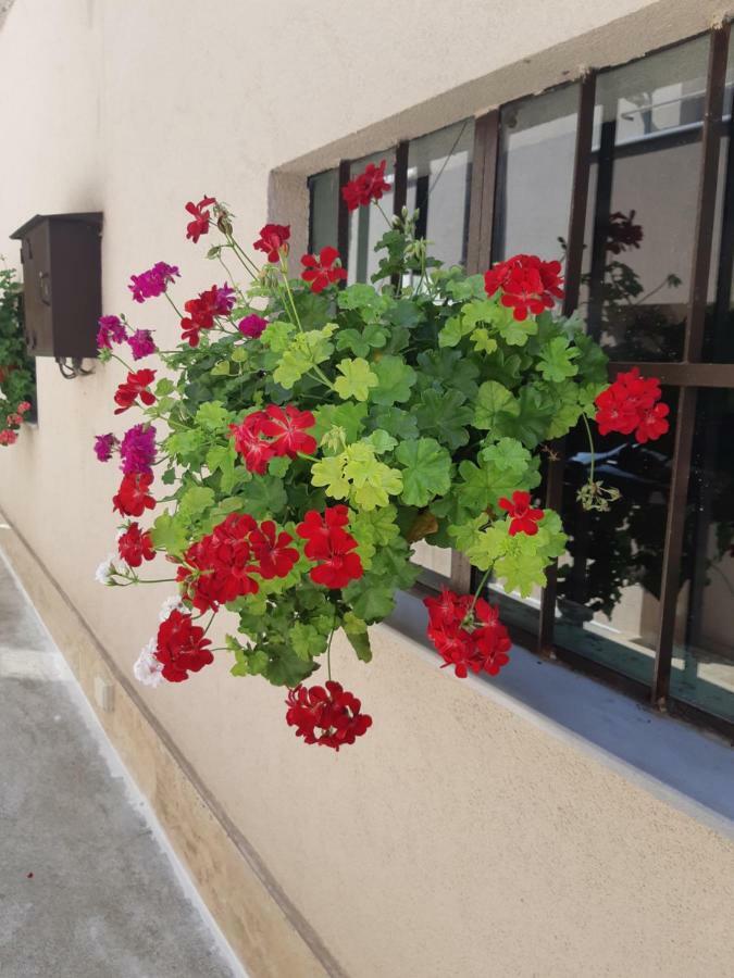Villa Ros Guest House Svilengrad Exteriör bild